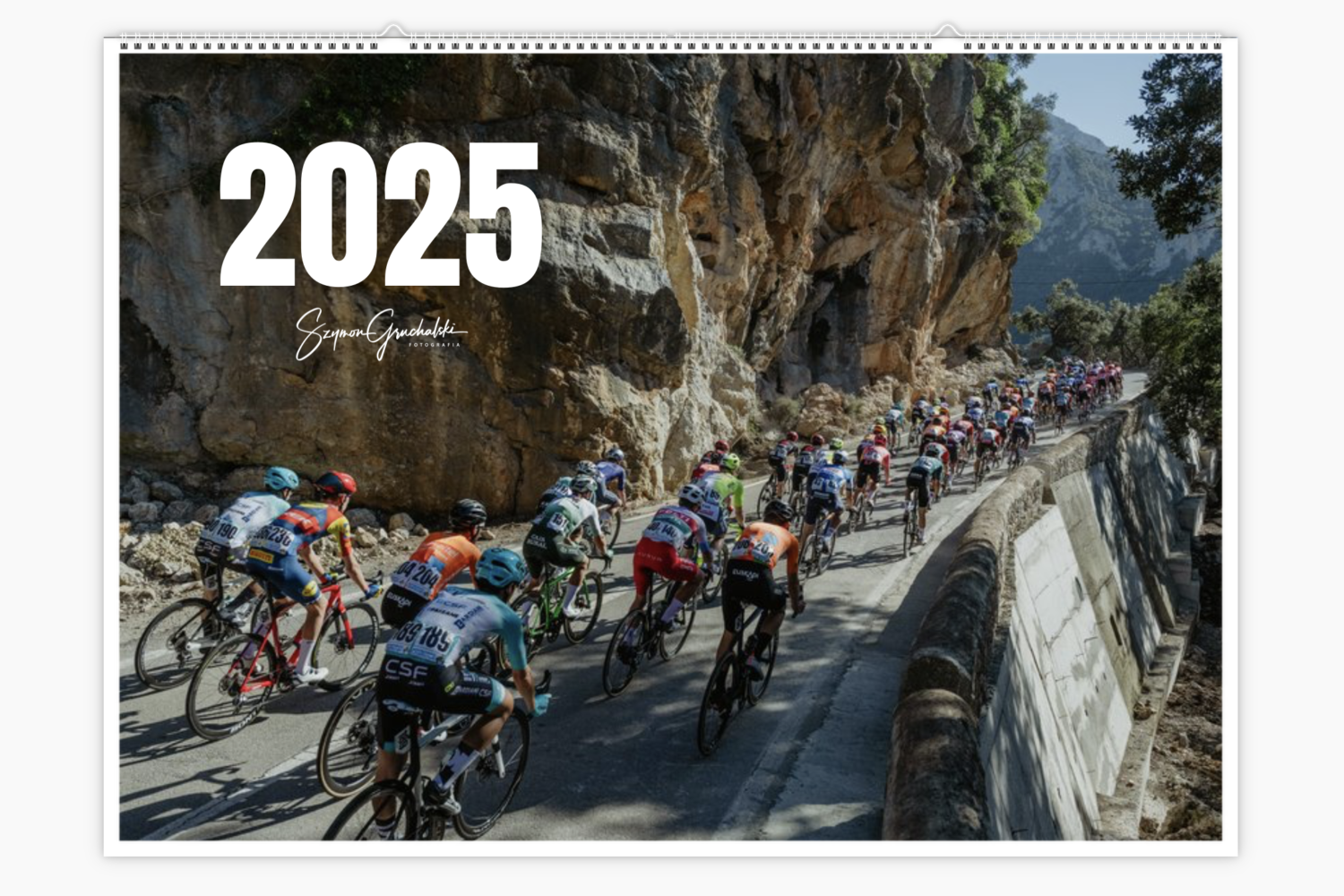 Calendar 2025 [A3 format]
